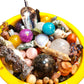 Treasure Chest Mystery Scoop | Crystal Collection | Gift Set